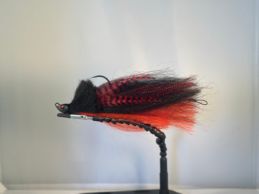 Red Belly